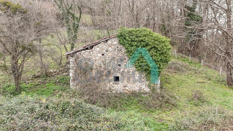 Foto 3fc89ede-2d3b-4db3-813a-ba2b9d2fc717. Casale in Proaza