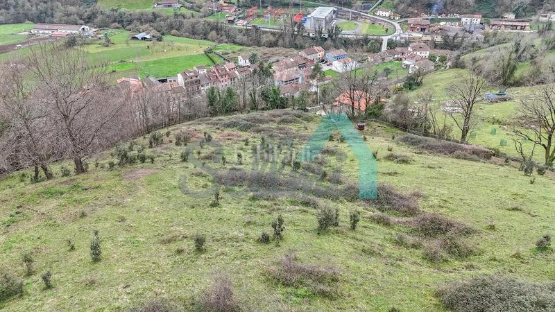 Foto 3fd8af91-6168-407f-a9e2-8e7372fd464c. Casale in Proaza