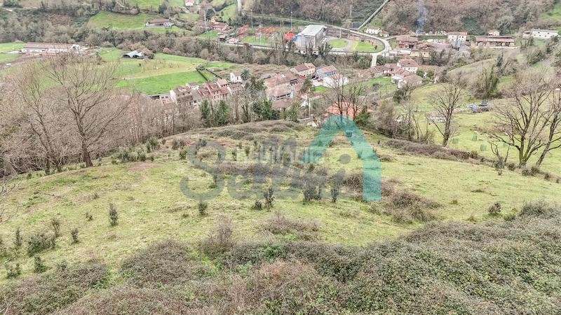 Foto 5c5f4316-a84d-43c9-95ca-06259b824cd0. Casale in Proaza