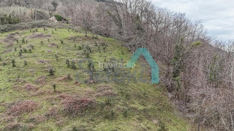 Foto 6b92ab39-77f9-44cc-8e8b-aa4dbd737253. Casale in Proaza