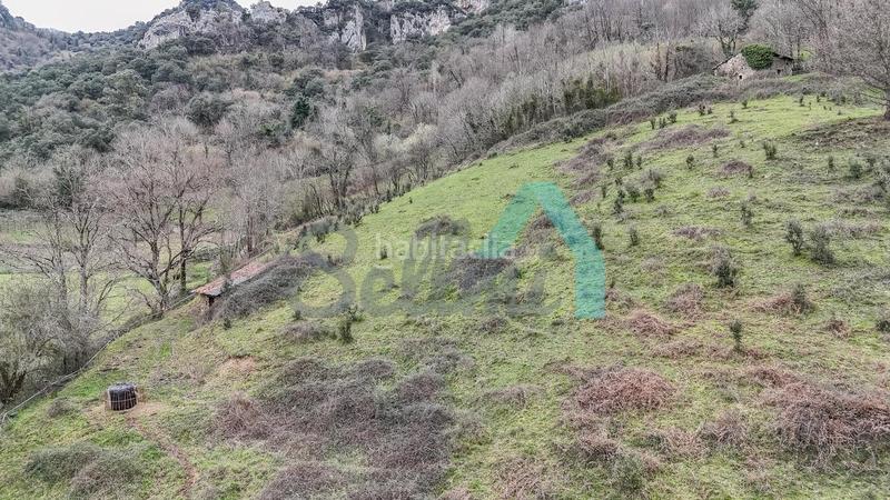 Foto 6cfc6648-773c-4e4f-a0e0-3d55d5b1d89c. Casale in Proaza