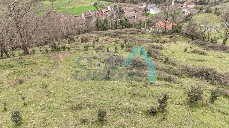 Foto 9daf4207-59d4-4ecf-9ac6-03fa9828f513. Casale in Proaza