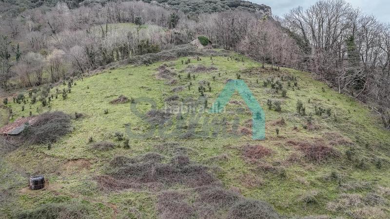 Foto a1728c24-3243-48d0-8fd3-9a75d305a843. Casale in Proaza