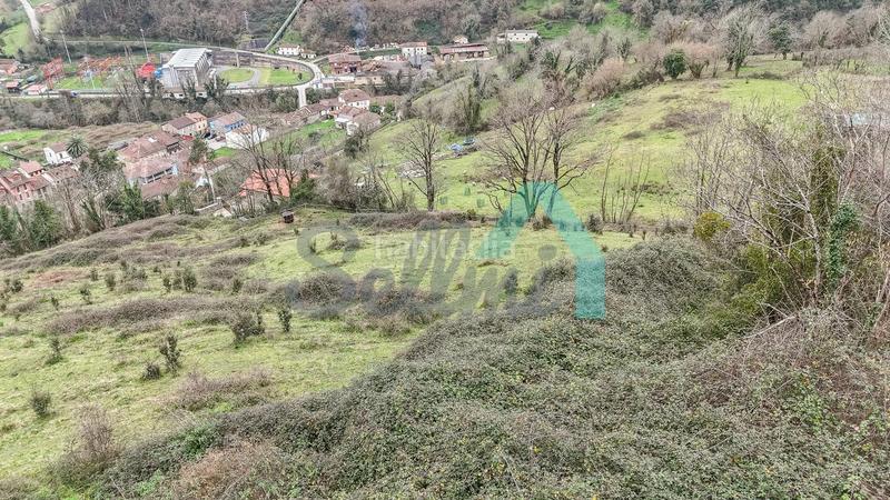 Foto bda5535d-5101-4268-9670-111fa519f733. Casale in Proaza