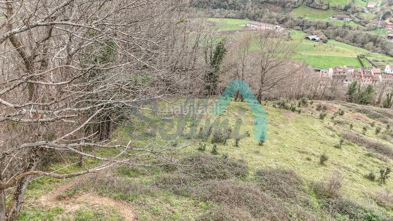 Foto bf47c3b8-b1e7-4061-92fb-d6ab24a50762. Casale in Proaza