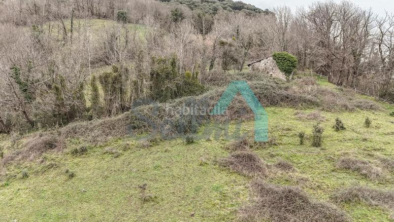 Foto c390f77c-8b94-4af7-8bbf-33144df89a9e. Casale in Proaza