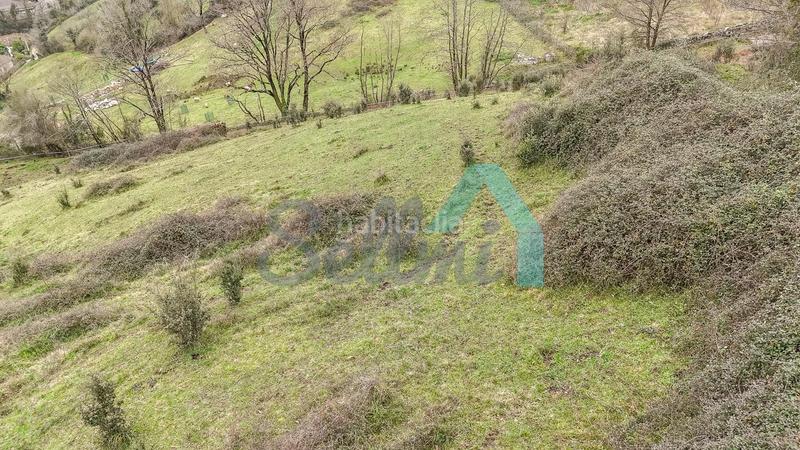 Foto dffe8539-c2a5-4c63-bb69-d18b590ff1aa. Casale in Proaza