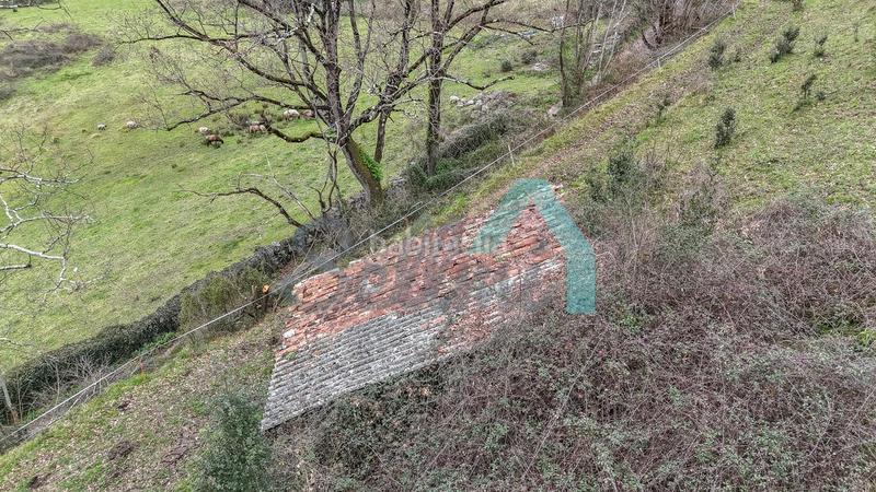 Foto e37b5ba1-6808-4b6e-94dc-e95cc1b2f55a. Casale in Proaza