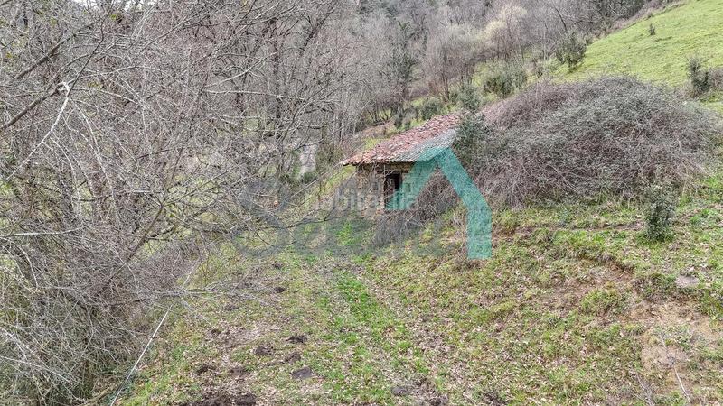 Foto f5d96764-9069-4d6d-aba7-bee3062ab4dd. Casale in Proaza