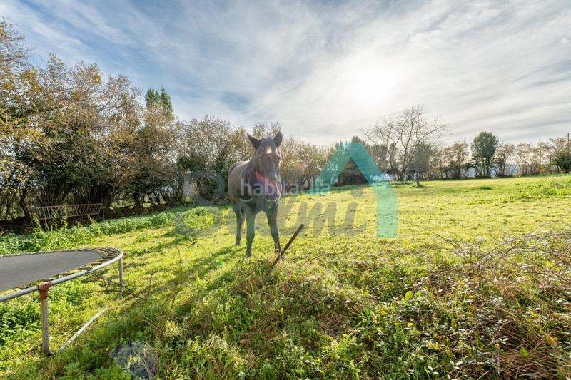 Foto 7aca3e9e-e4b8-402f-9b6a-1249ba083809. Casa a Lada Langreo