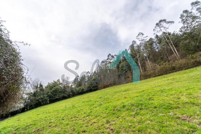 Foto 0636809f-60ab-49ae-a7b1-5e24896833a2. Terreny residencial a Pravia