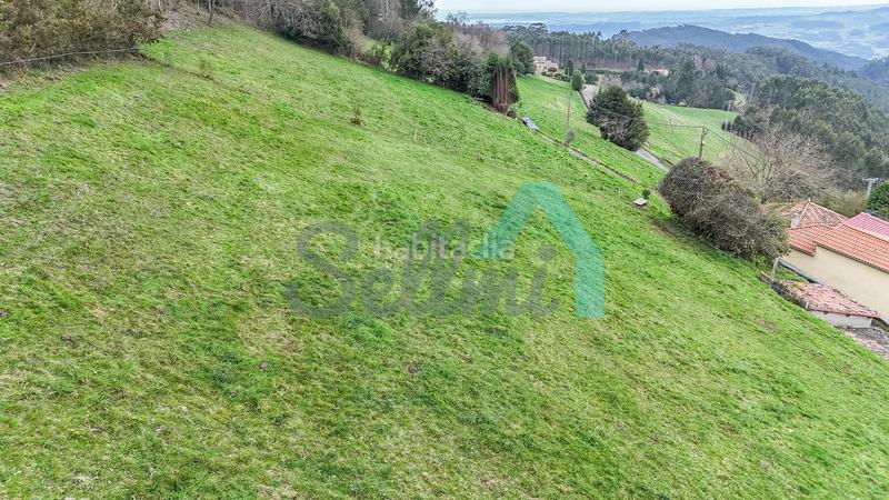 Foto 90ff64b8-b8b9-413f-9447-ede0aa70250f. Terreny residencial a Pravia