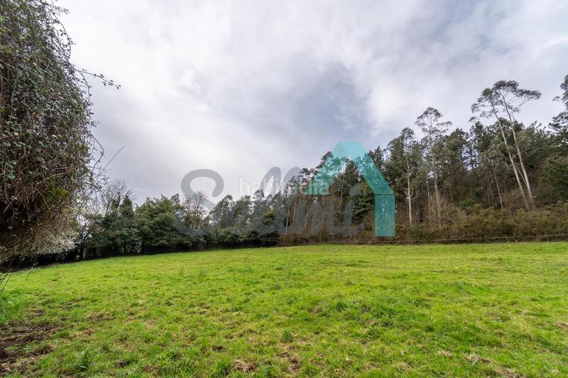 Foto cae94fe3-12d8-4e5c-982d-e800e51071eb. Terreny residencial a Pravia