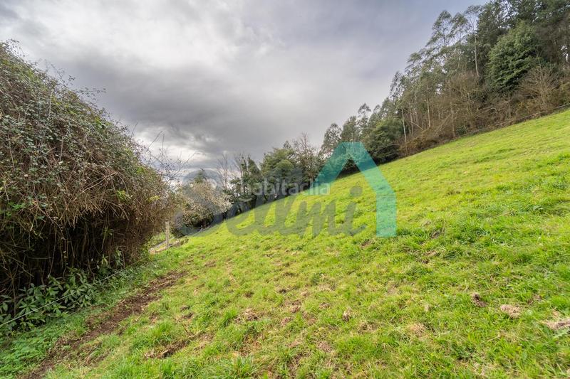 Foto f3b6225a-355a-4465-a1a8-a1219e111700. Terreny residencial a Pravia