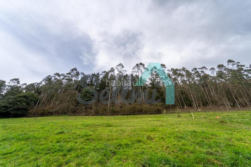 Foto f991bd3c-815c-42f4-b94e-77f0e7738b55. Terreny residencial a Pravia