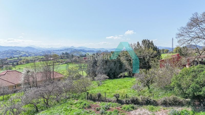 Foto 41aed847-2d41-4362-a17d-273aa2d35405. Residential plot in Regueras (Las)