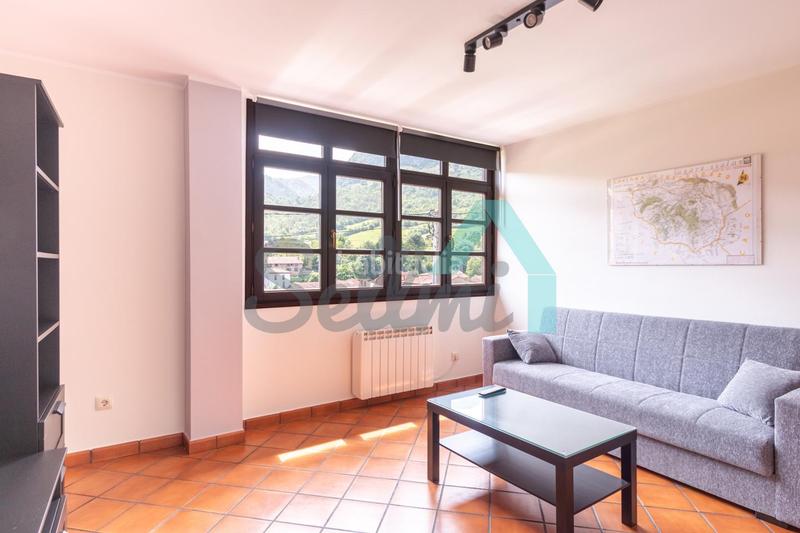 Foto bf4d7662-80c6-4533-8edd-790ec2eadedf. Dúplex en Sobrescobio