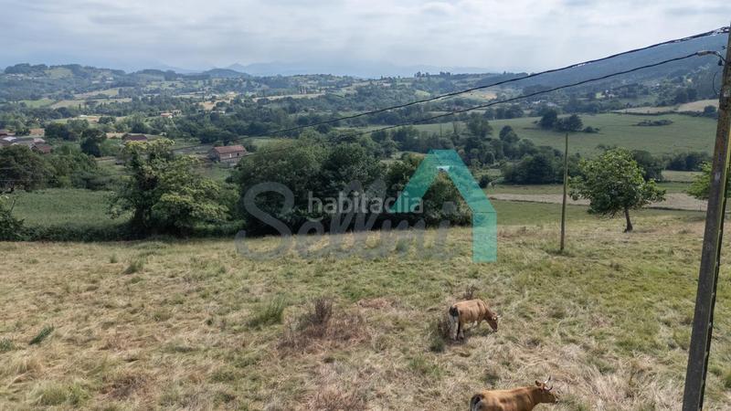 Foto e67de3d7-11de-48af-a799-a37beb147a8b. Casa in Llanera