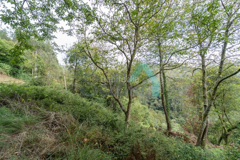 Foto cad52dbb-3889-4c72-a699-928608b54638. Casa pareada en Valdés