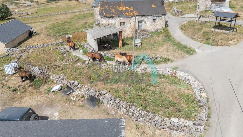 Foto c2295271-e93e-4478-82c1-7b63f4589734. Bauernhof in Somiedo