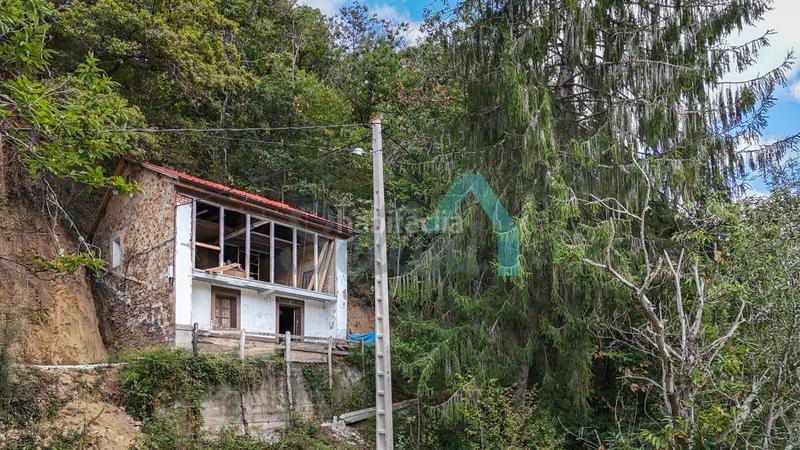 Foto 1e7abbb7-e423-4736-83d8-40c2cae25c47. Casa en Laviana