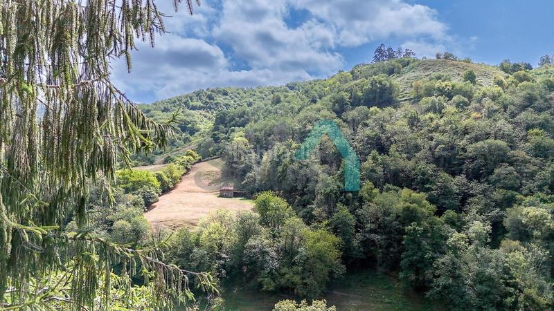 Foto 399d2691-f3c2-459f-87d4-089881aaa595. Casa en Laviana