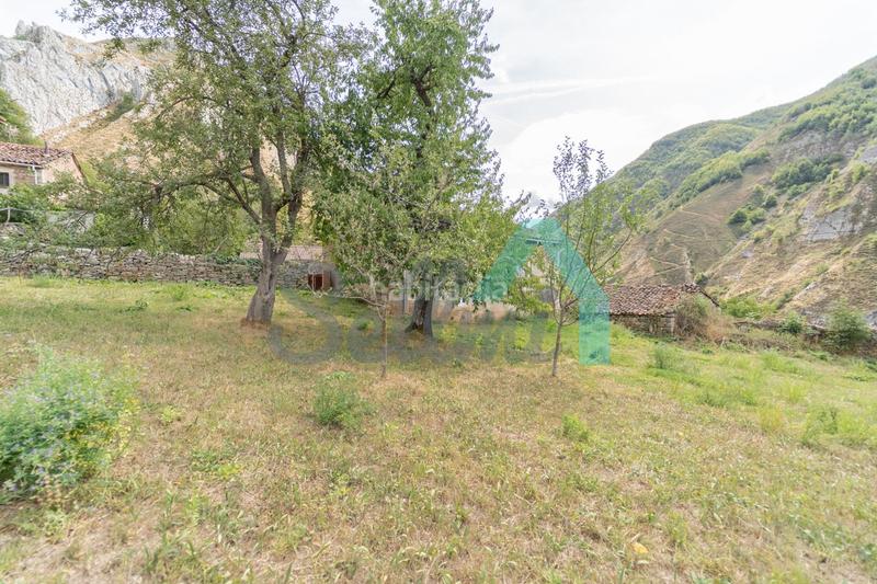 Foto 245e6df4-956c-4344-a5c2-f24e5cadb2d5. Haus in Somiedo