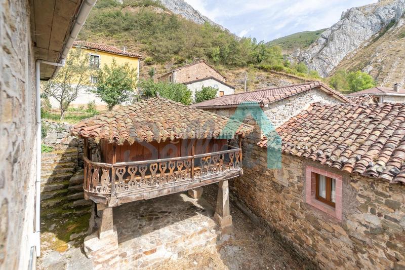 Foto b24772d0-a076-433c-b3b6-657bd3148b01. Haus in Somiedo