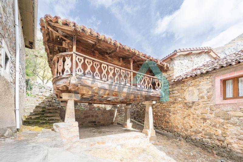 Foto a44001ba-4ebf-488b-a3ba-f202a2bf331e. Maison dans Somiedo