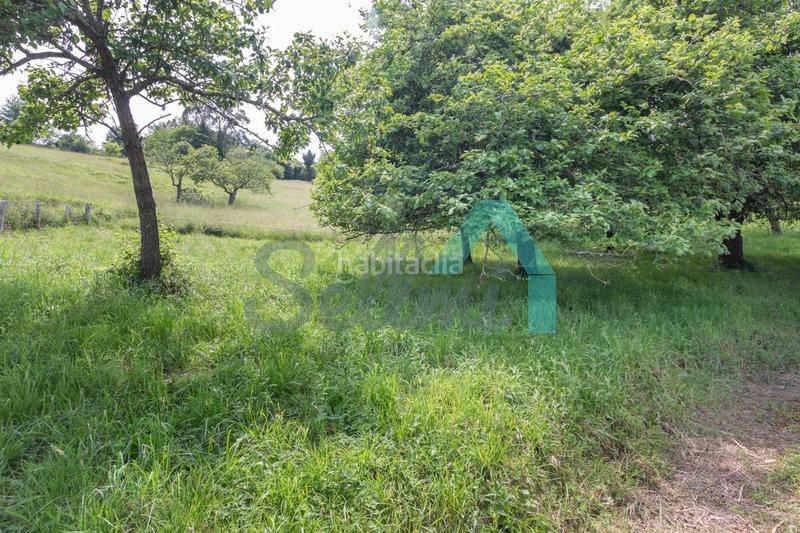 Foto 60178305-b55a-43b0-a8ea-2504152e3288. Alquiler casa adosada en Parroquias suroccidentales Villaviciosa