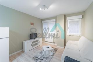 Location Appartement  Gregorio marañon