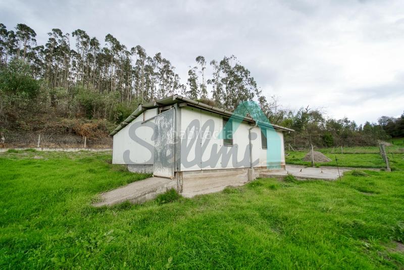 Foto 3fdc24fa-4f15-48a9-8e74-3c3a6a79cfba. Casa en Corvera de Asturias