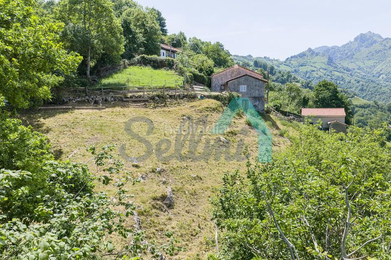 Foto 83fb762a-3bc6-407f-ad9c-ff6eab9b4e01. Casa a Laviana