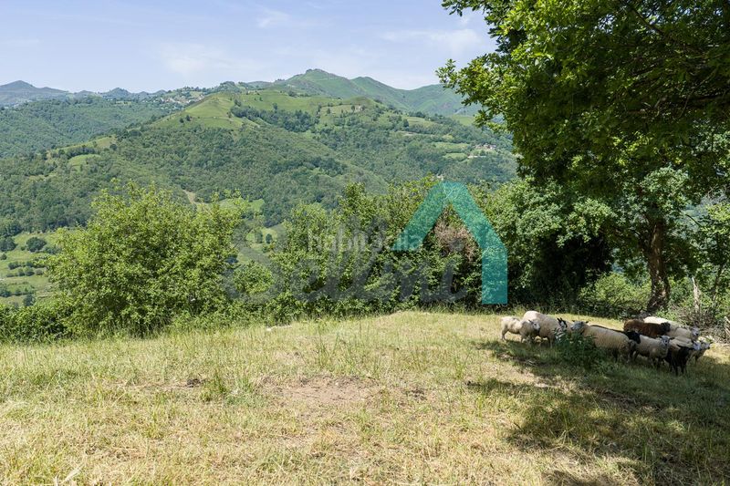 Foto cb44dc0f-2d1a-4c89-ad6e-022cb68bee79. Casa a Laviana