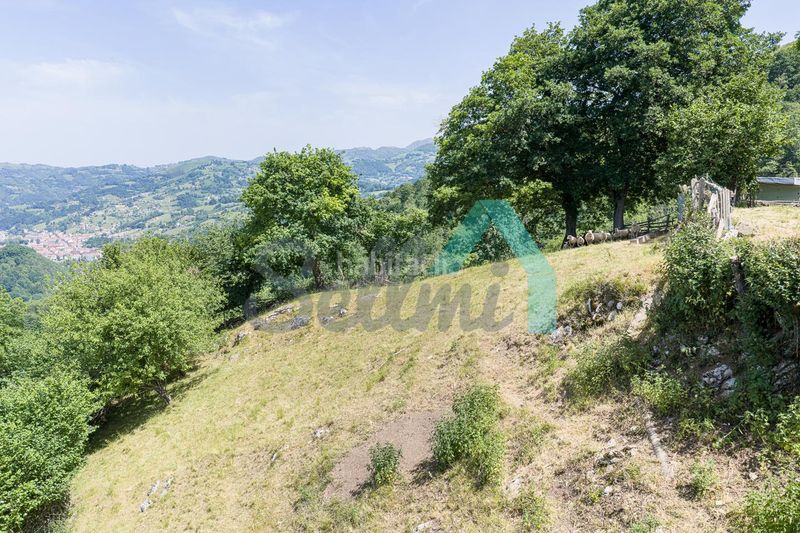 Foto ddf4bb61-1c17-4c41-9d90-fa37663c1b96. Casa a Laviana