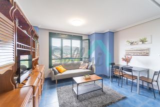Rent Flat  Catedrático adolfo álvarez buylla