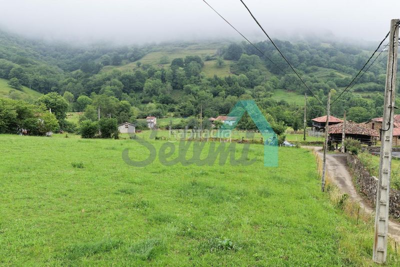 Foto 1291eb32-9263-4910-bb95-696913b24e93. Terreny residencial a Grado