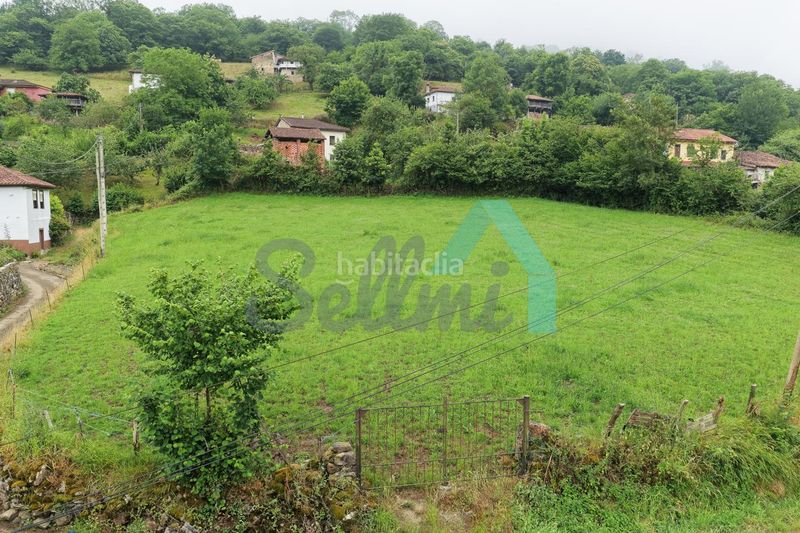 Foto 50acdeb5-5dfb-4e14-bb6e-5b4434b95d2c. Terreny residencial a Grado