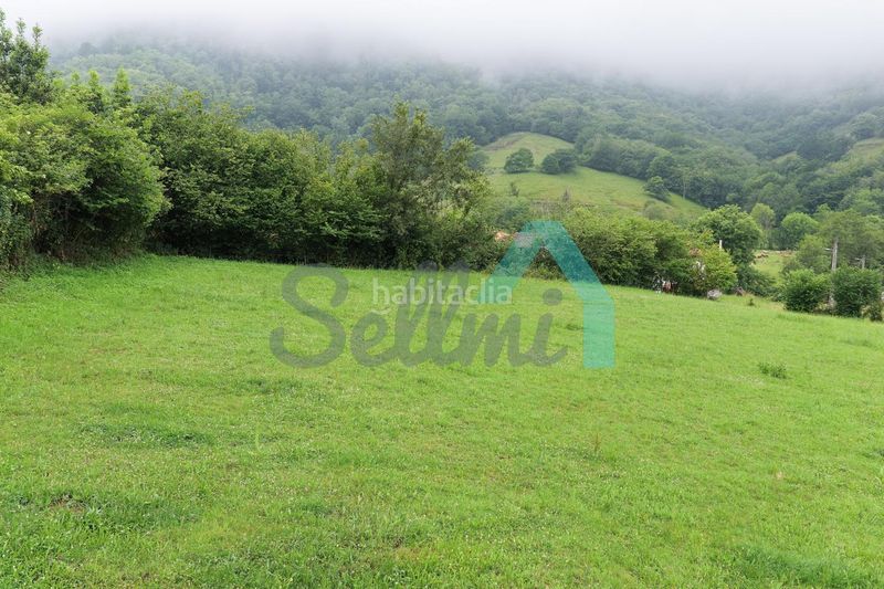 Foto ecf0c285-2f05-4002-a9cc-b44d75e1db69. Terreny residencial a Grado