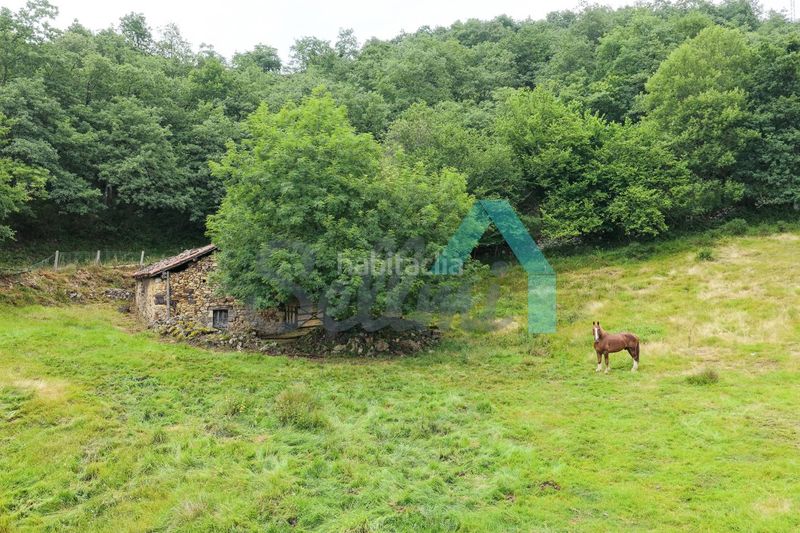 Foto 7e0f48e6-1b79-418f-a874-255dd1bdca41. Finca rústica a Proaza