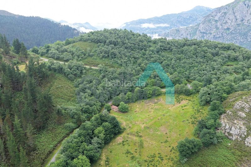 Foto e765f0ba-5a73-45d2-a167-3a5d4bd506ae. Finca rústica a Proaza