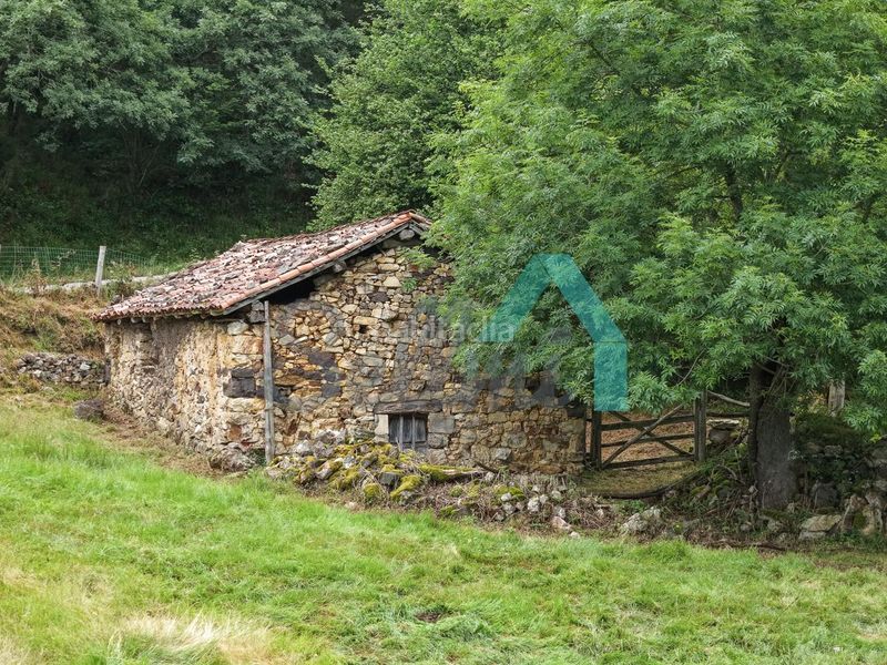 Foto 0d64e39e-6c3d-497c-abd8-6549e7f9c0b0. Finca rústica en Proaza