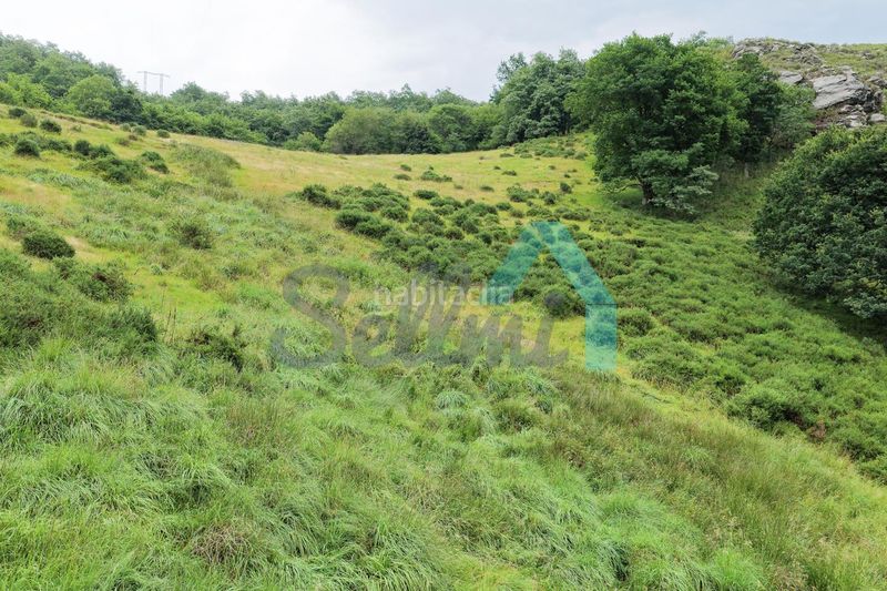 Foto 41d84089-ff73-418d-a86a-16a84038de00. Finca rústica en Proaza