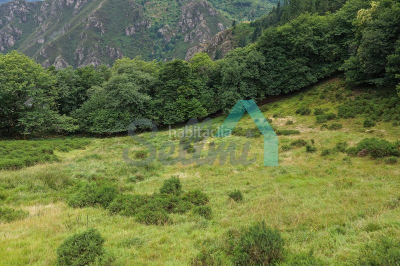 Foto e3cadb37-a76f-4640-a786-231898e4ed3f. Finca rústica en Proaza