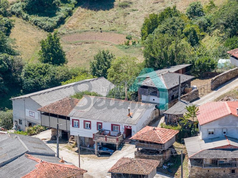 Foto abd37910-e929-4c81-a4e1-0c5c0d928070. Casa a Tineo