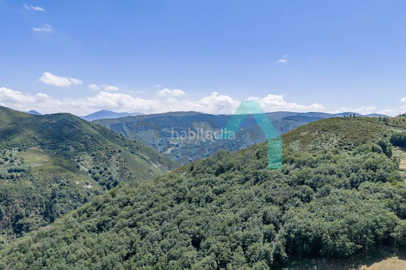 Foto c5e39bbe-637a-44cc-ac5c-e312d5c18fce. Casa a Tineo