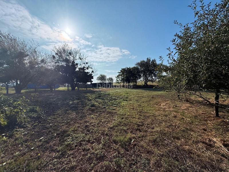 Foto d7cdccb4-f6f0-44bc-b8f6-4770dab9693c. Terreny residencial a Carbayin-Lieres-Valdesoto Siero