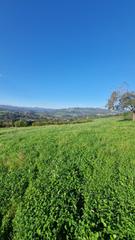 Terreno residenziale in San Claudio - Trubia - Las Caldas