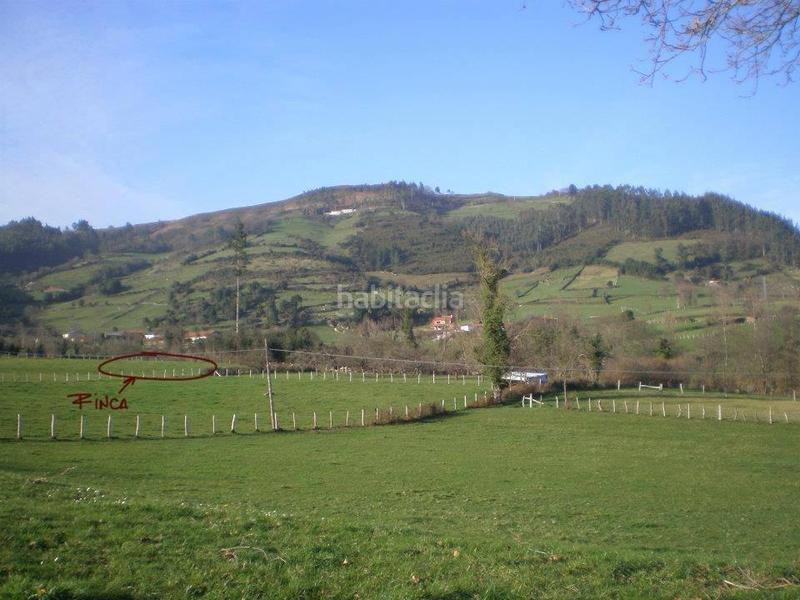 Foto 0ed53fee-8ce1-484d-a992-bfc556721472. Residential plot in la pola Siero Siero