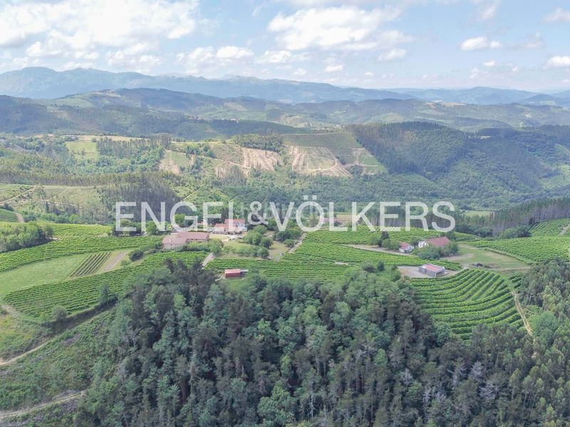 Foto f89e8a2e-648d-4681-af9c-ba28c465d04b. Casa amb calefacció a Muxika